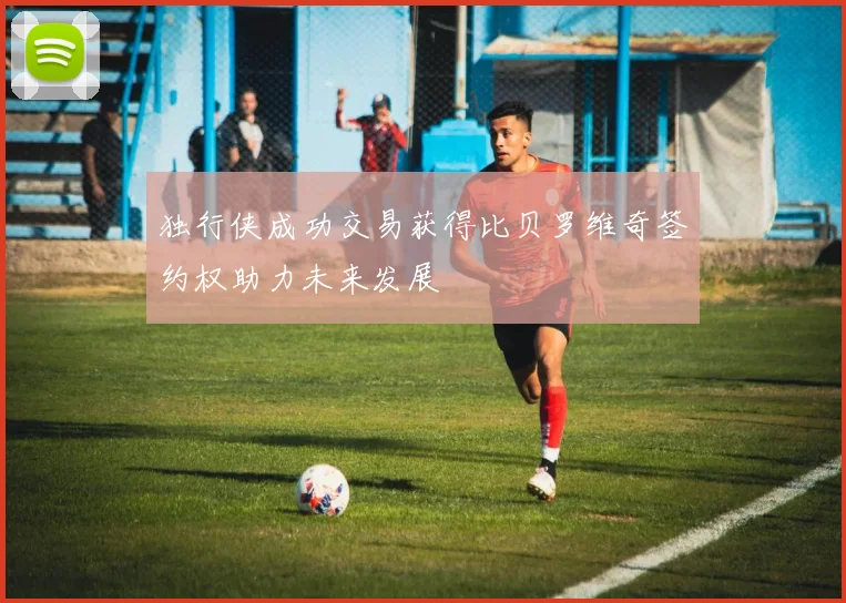 独行侠成功交易获得比贝罗维奇签约权助力未来发展